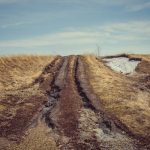 Consciousness Expansion: Travel as Transformative Neural Pathway