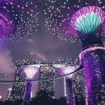 Sustainable Landscaping Solutions for Complex Urban Environmental Challenges