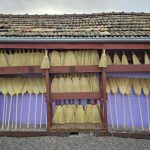 The Economic Value of Comprehensive Advanced Roof Maintenance Techniques