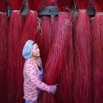 Biomimetic Textile Engineering: Nature-Inspired Innovations