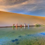 Consciousness Expansion: Travel as Transformative Neural Rewiring