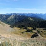Biodiversity Exploration: Understanding Planetary Interconnectedness