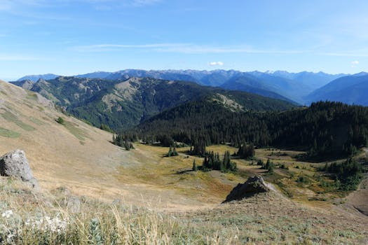 Biodiversity Exploration: Understanding Planetary Interconnectedness