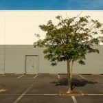 Compassionate Design in EdTech