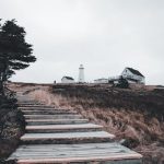 The Comprehensive Guide to Career Mindset Optimization