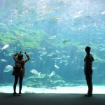 Underwater Civilizations: Mysterious Ecosystems of Human Potential