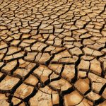 Ecological Warfare: Sustainable Landscaping in the Complex Climate Crisis