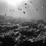 Deep Sea Exploration Micro-Devices: Underwater Advanced Technological Solutions