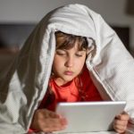Personal Data Sovereignty Chips: Intelligent Privacy Protection Technologies