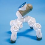 Personal Development Tracking Wearables: Intelligent Self-Improvement Monitoring Devices