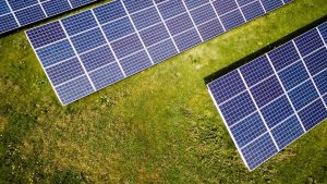 Bioengineered Fuel Systems: Organic Energy Solutions