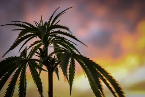 Ethical Challenges Emerging from Advanced Legal Technologies