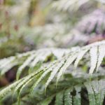 Unlocking Your Unique Professional Growth Trajectory